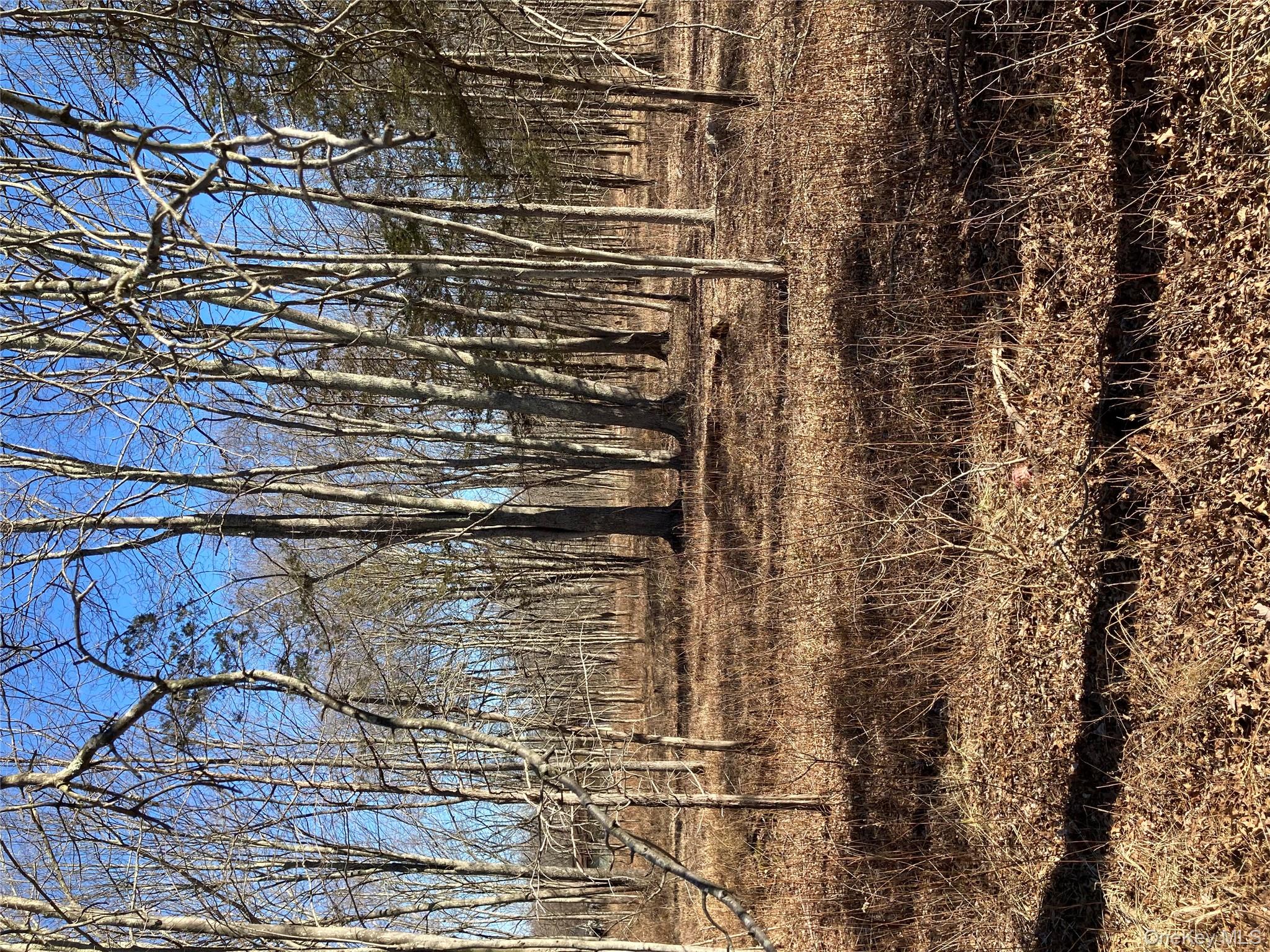 799 Albany Post Road Gardiner, NY 12561 - Photo 16 of 20 a view of backyard space with large trees