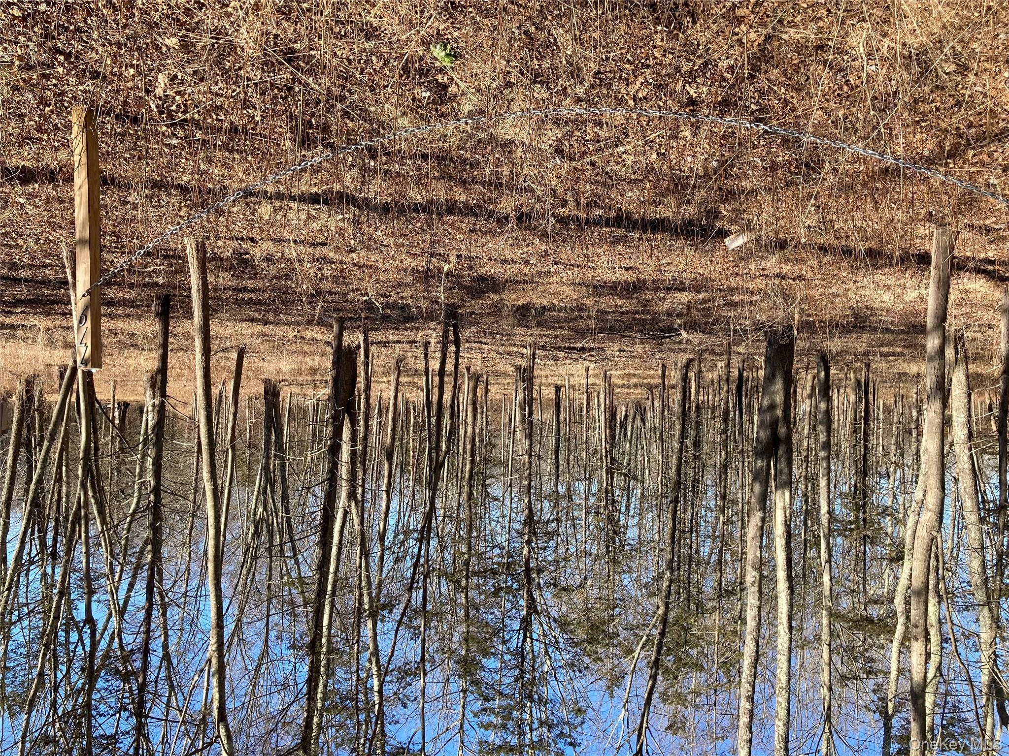 799 Albany Post Road Gardiner, NY 12561 - Photo 17 of 20 a view of outdoor space with deck and trees