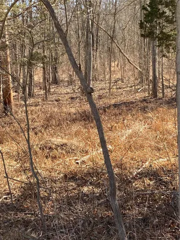 a view of dirt yard with a tree