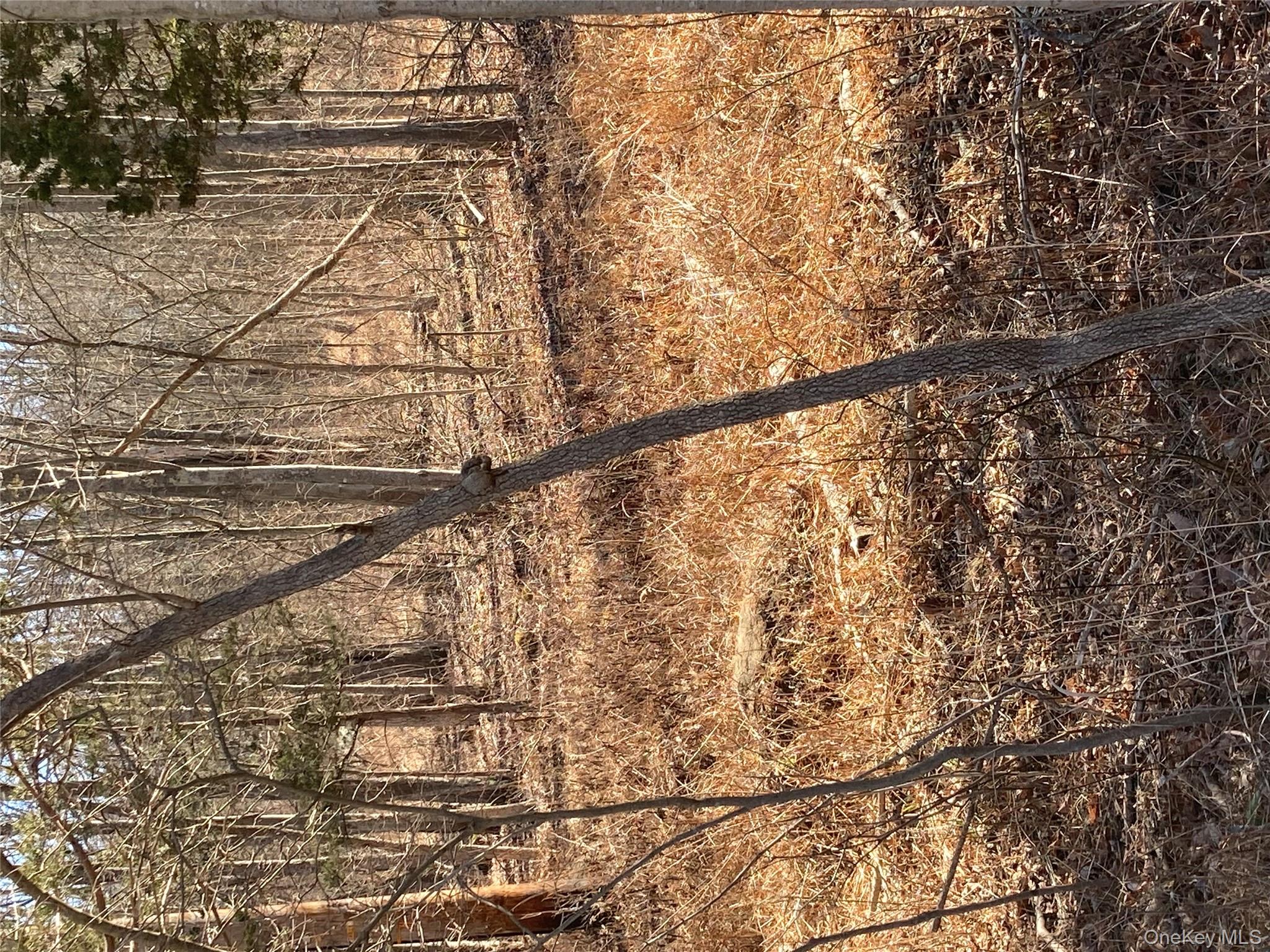 799 Albany Post Road Gardiner, NY 12561 - Photo 3 of 20 a view of covered with snow