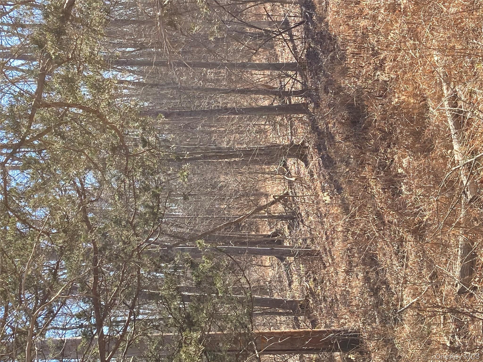 799 Albany Post Road Gardiner, NY 12561 - Photo 4 of 20 a view of dirt yard with a tree