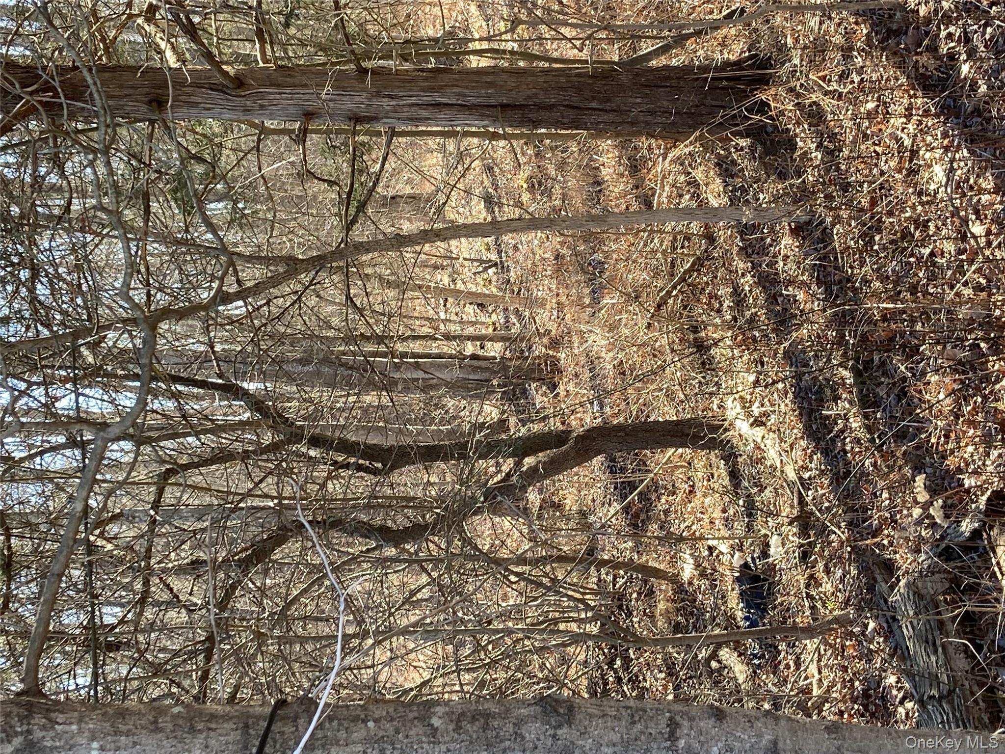 799 Albany Post Road Gardiner, NY 12561 - Photo 5 of 20 a yard with tall trees