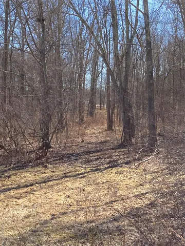 a view of a yard with wooden fence