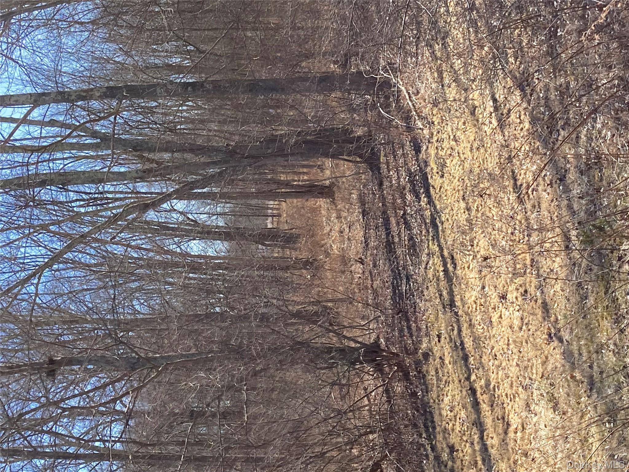 799 Albany Post Road Gardiner, NY 12561 - Photo 6 of 20 a view of a yard with large trees