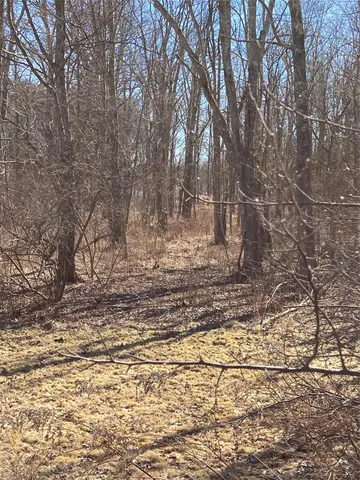 a view of street view with large trees