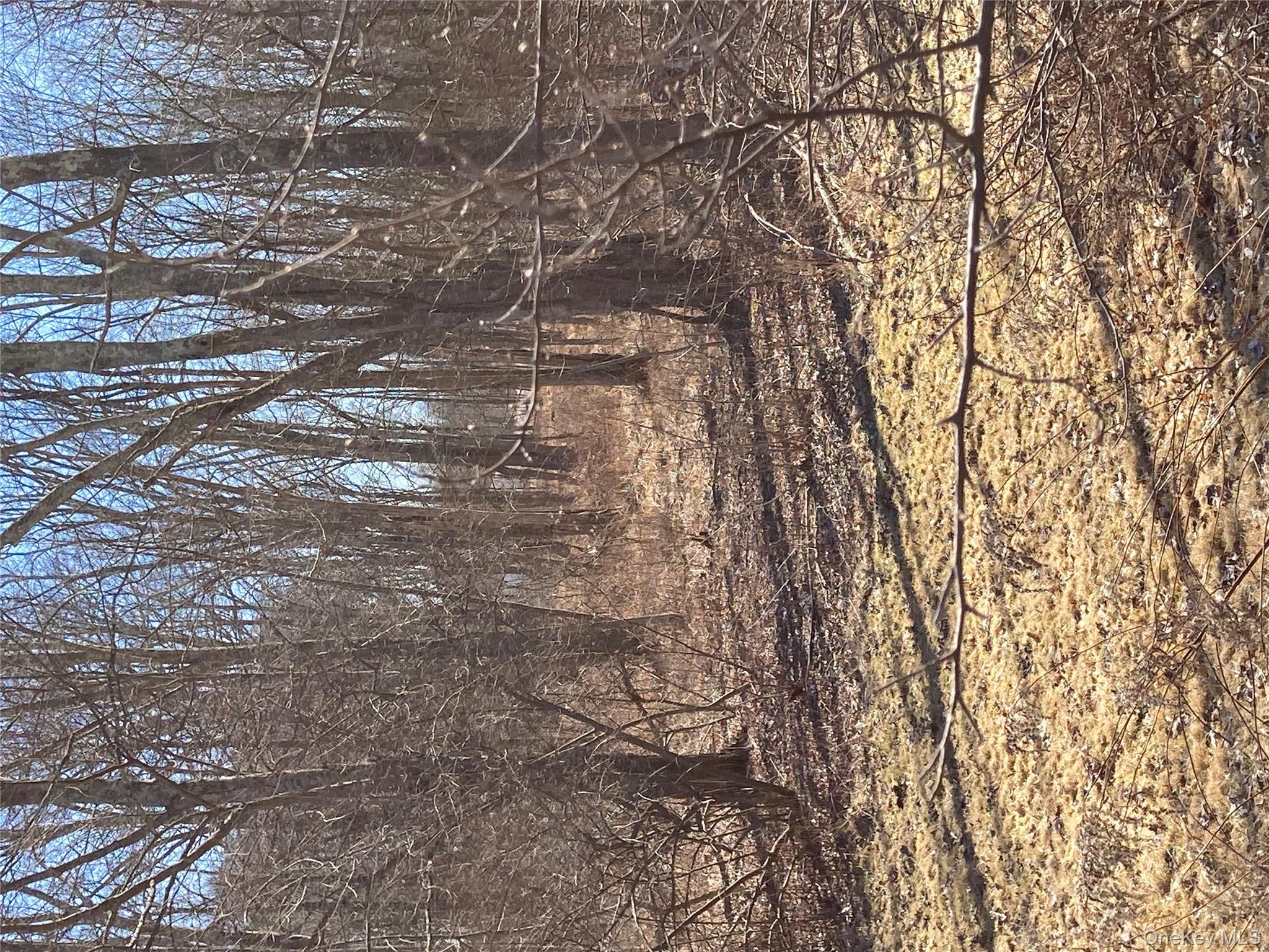 799 Albany Post Road Gardiner, NY 12561 - Photo 7 of 20 a view of a yard with wooden fence