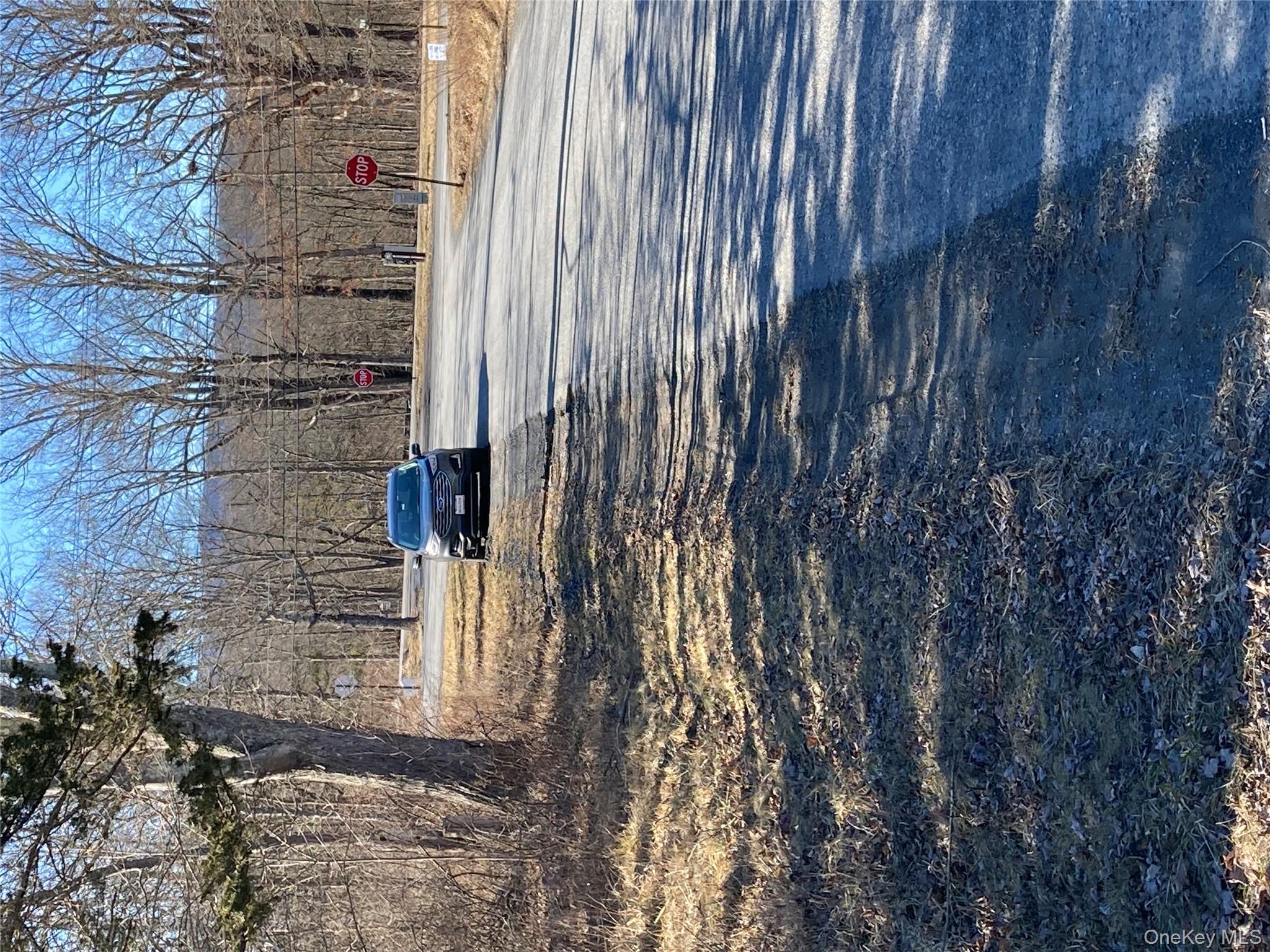 799 Albany Post Road Gardiner, NY 12561 - Photo 8 of 20 a view of street view with large trees