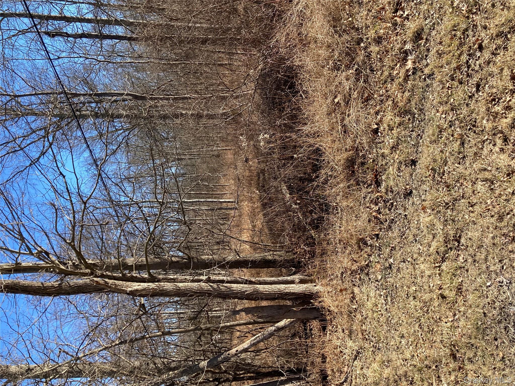 799 Albany Post Road Gardiner, NY 12561 - Photo 9 of 20 a backyard of a house with lots of green space