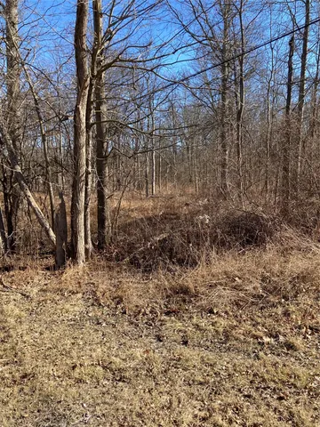 a view of a yard with trees