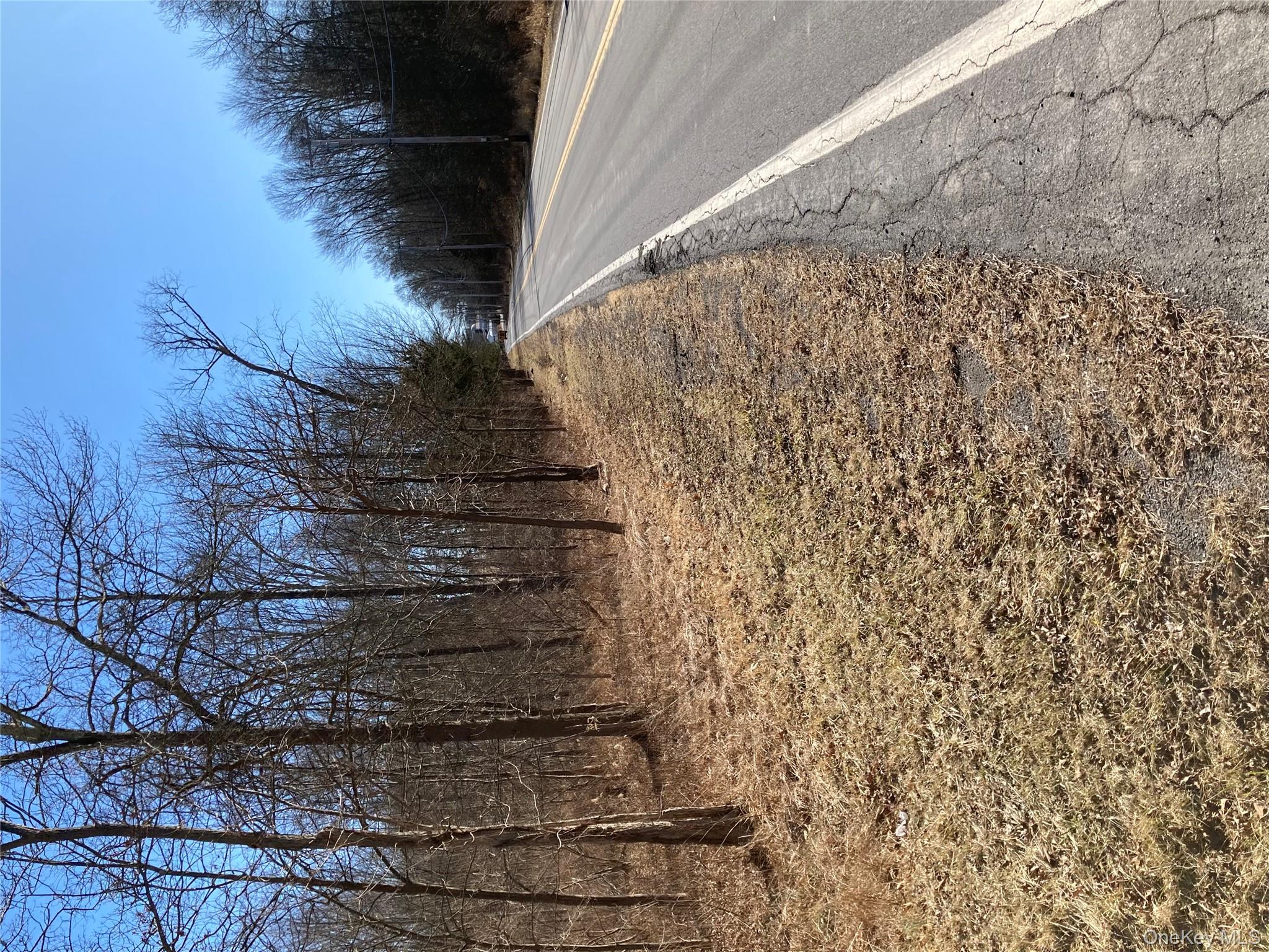 799 Albany Post Road Gardiner, NY 12561 - Photo 10 of 20 a view of a yard with trees