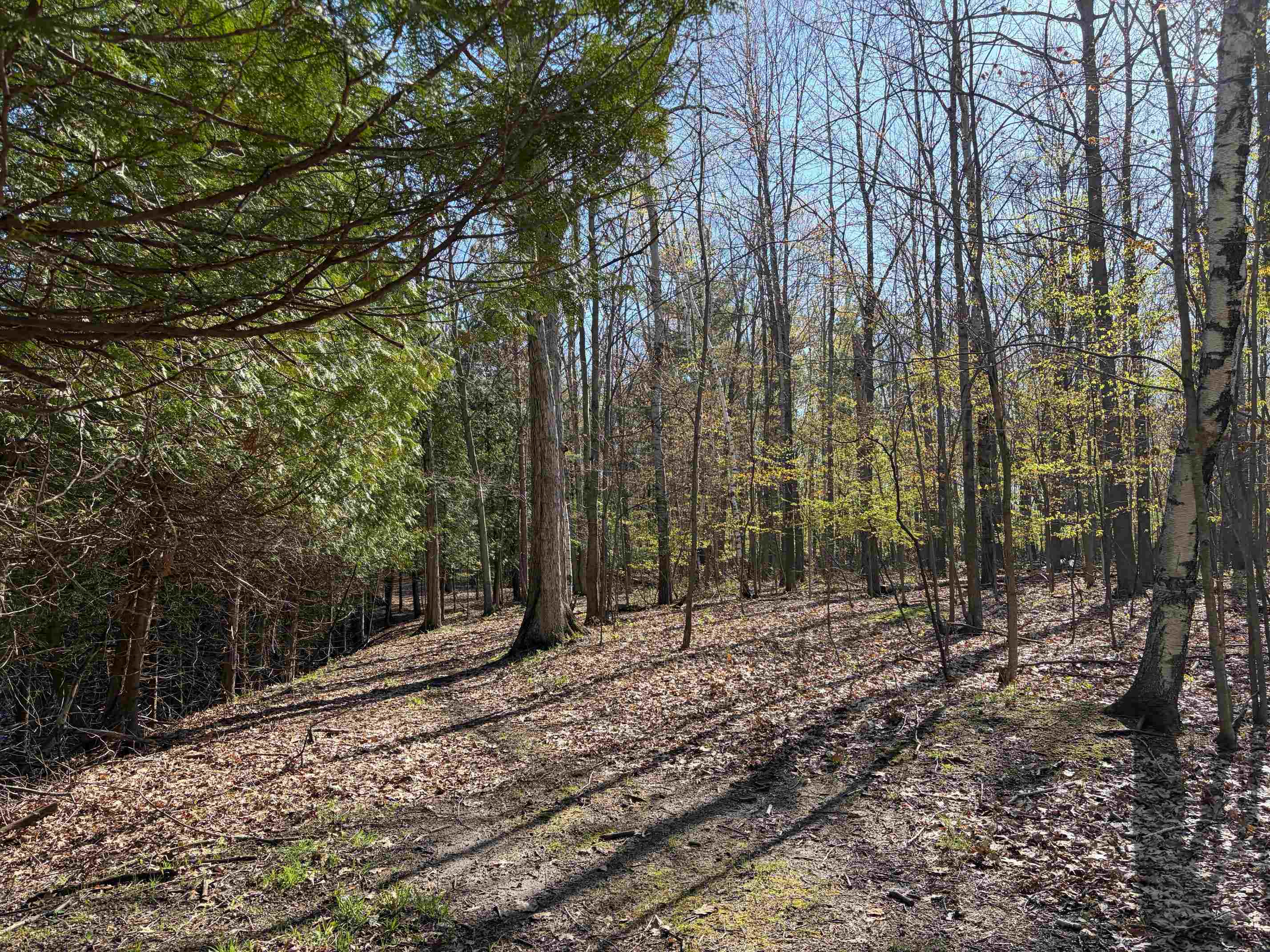 Tbd South Loomis Road Mount Pleasant, MI 48858 - Photo 5 of 5
