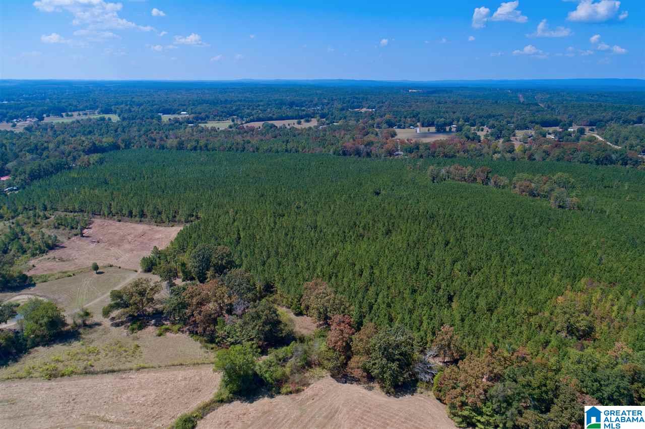 Jackson Farm Road, Unit B Wilsonville, AL 35186 - Photo 11 of 12