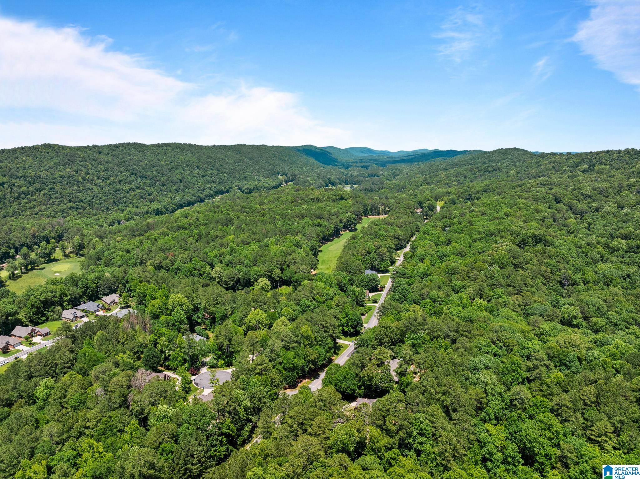 150 St Andrews Parkway Oneonta, AL 35121 - Photo 95 of 98