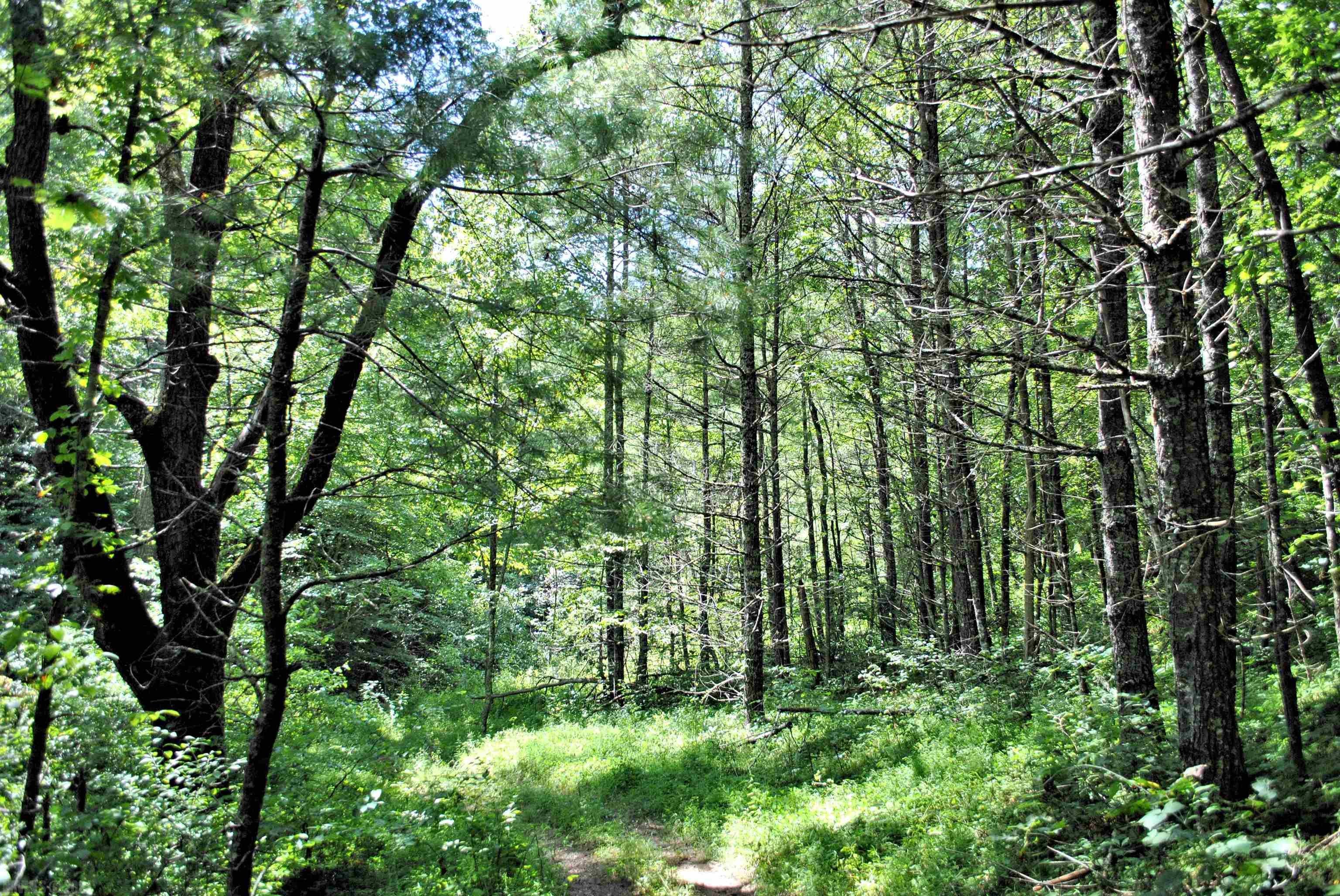 Tbd 153.054-ac Tbd 153.054-ac Chestnut Ridge Road Riner, VA 24149 - Photo 24 of 31 Gallery Image 24