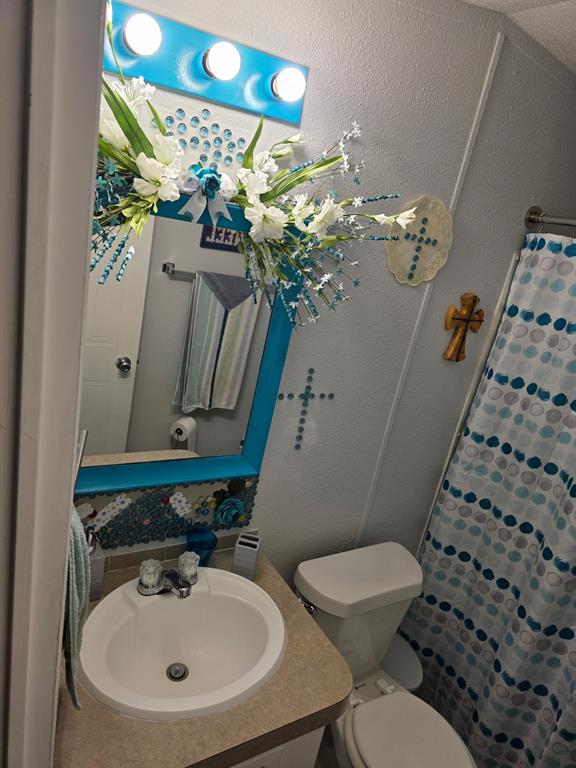 115 Yates Circle Aledo, TX 76008 - Photo 25 of 31 a bathroom with a toilet sink and mirror