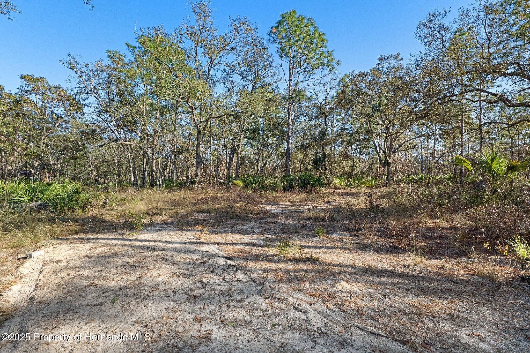 16046 Magpie Road Brooksville, FL 34614 - Photo 16 of 17