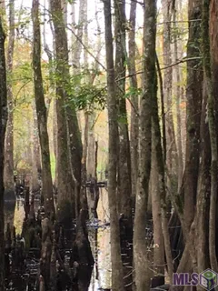 $125,000 | 20486 Highway 22, Maurepas, LA 70449