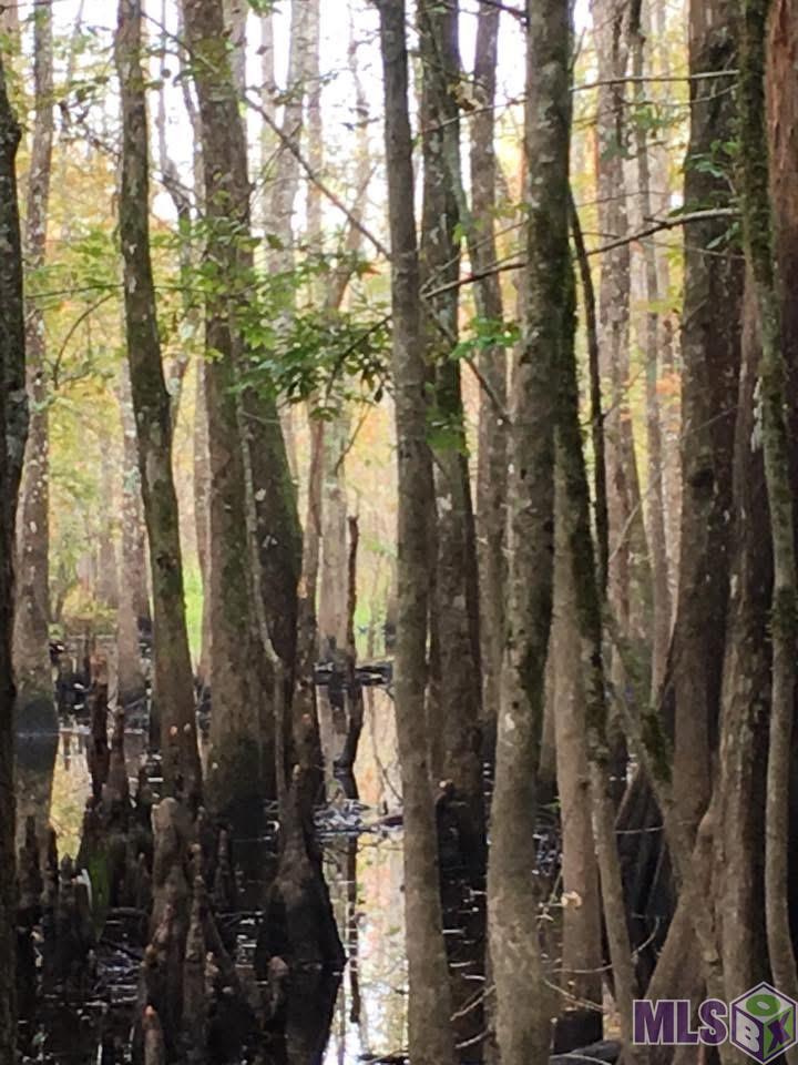 20486 Highway 22 Maurepas, LA 70449 - Photo 3 of 4