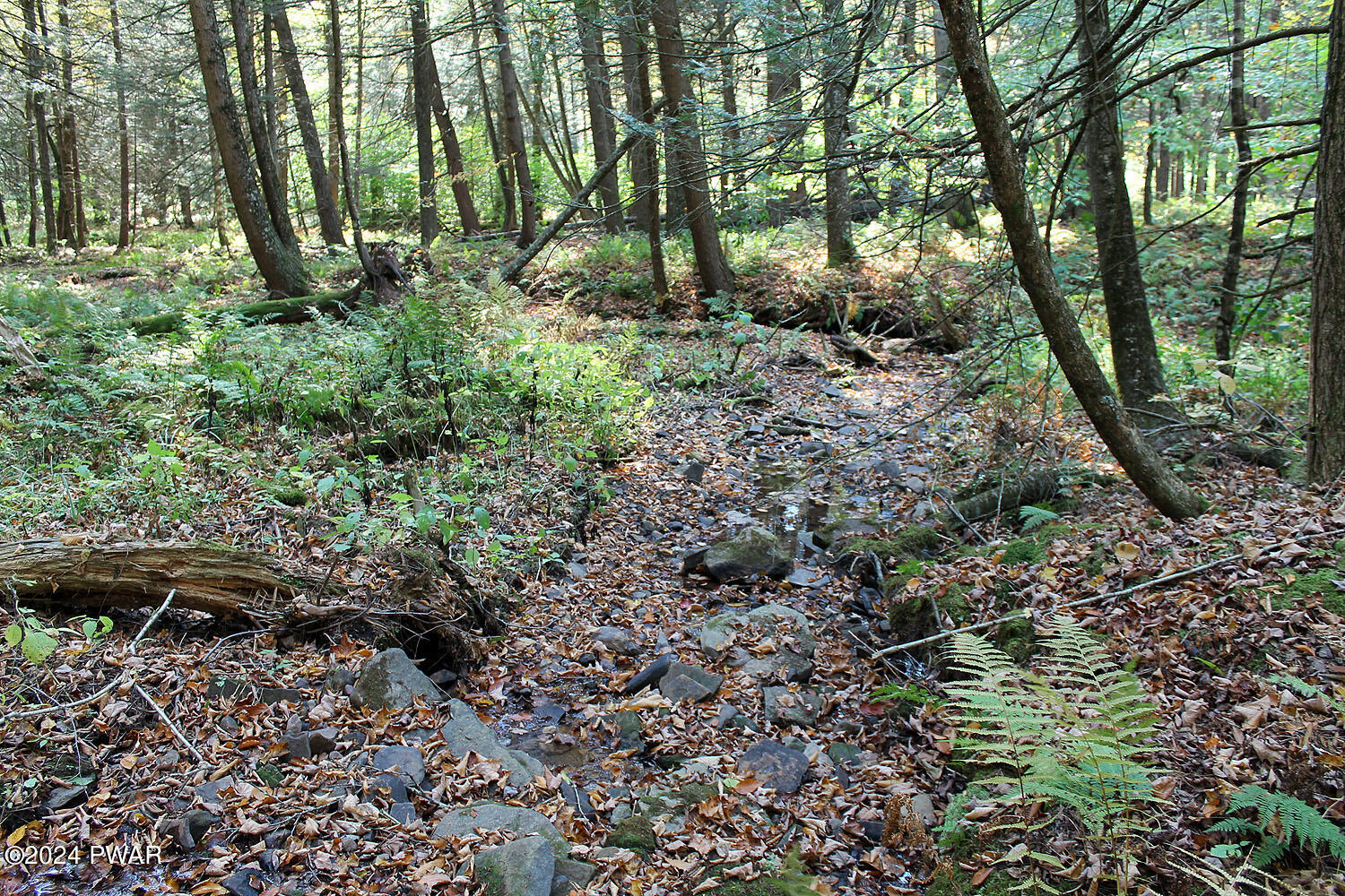 Baldwin Hill Road Damascus, PA 18415 - Photo 9 of 16 Stream