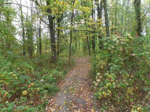 18605 Tipsico Lake Road Fenton, MI 48430 - Photo 25 of 30 20449872-24.JPG