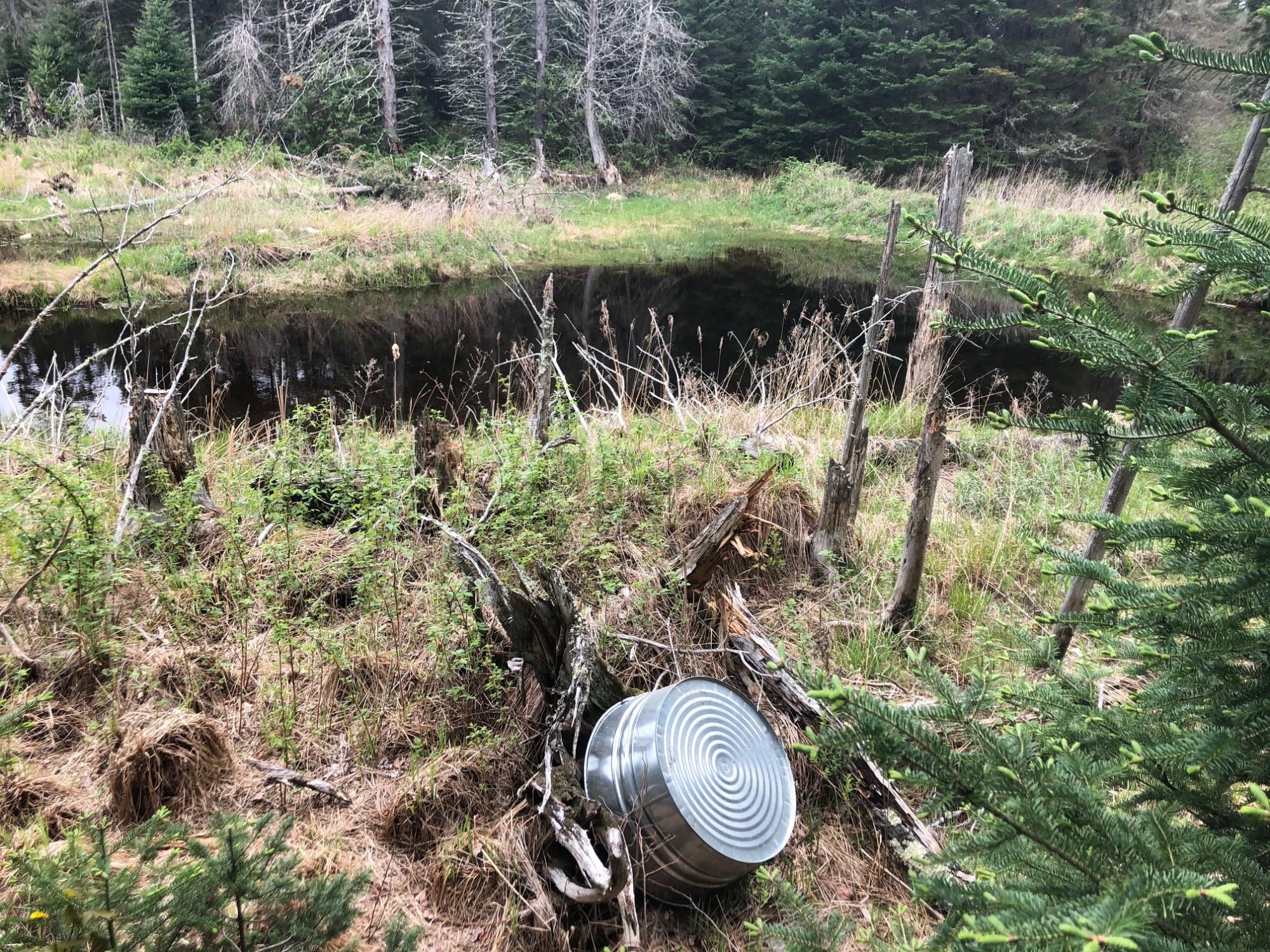 Off Fire Tower Road, Unit 40 AC Watersmeet, MI 49969 - Photo 13 of 37 Gallery Image 13