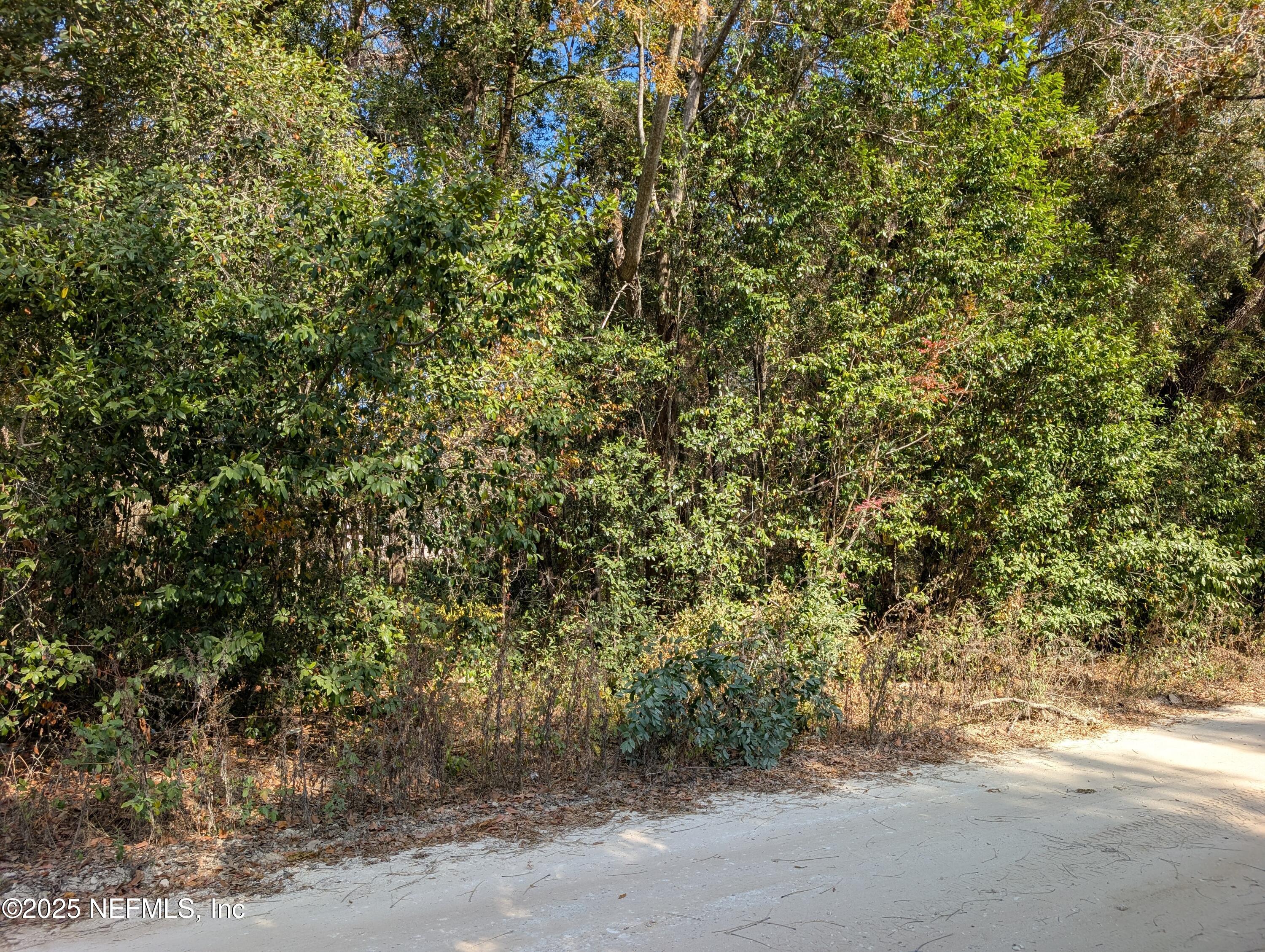 236 2nd Way Interlachen, FL 32148 - Photo 1 of 4 a view of a field with plants and trees
