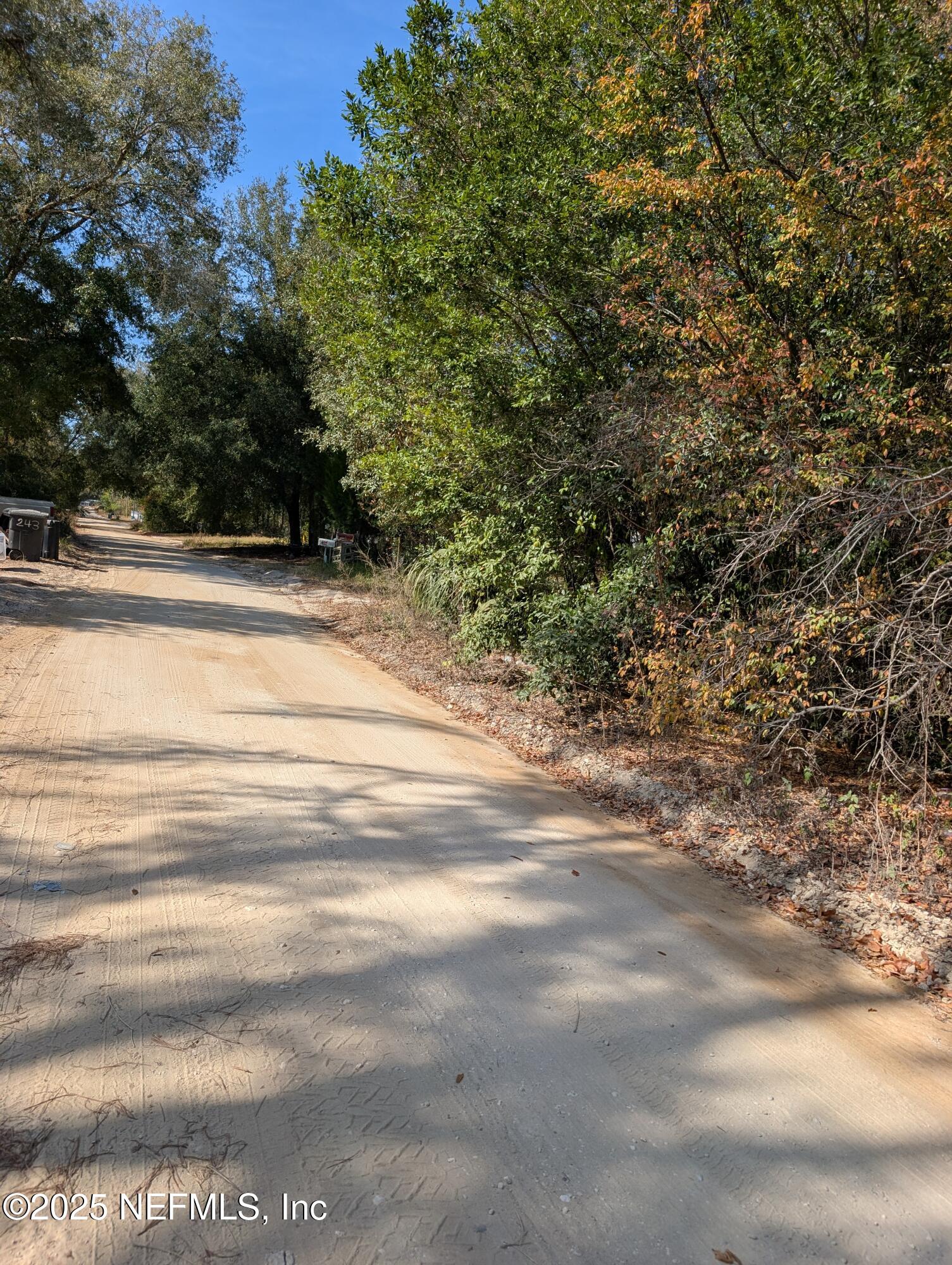 236 2nd Way Interlachen, FL 32148 - Photo 3 of 4