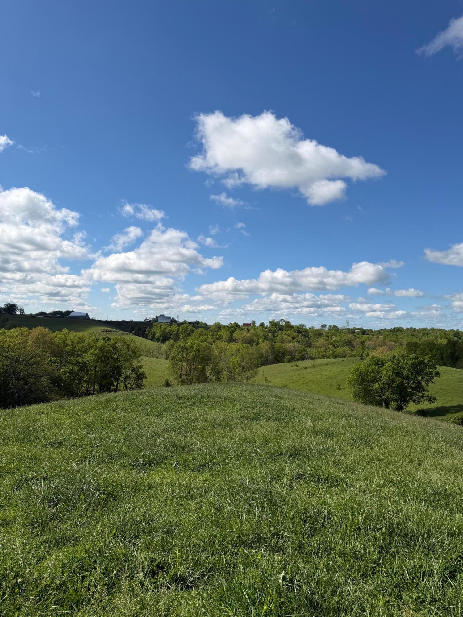 6.93-ac Chipman Ridge Road Williamstown, KY 41097 - Photo 2 of 10