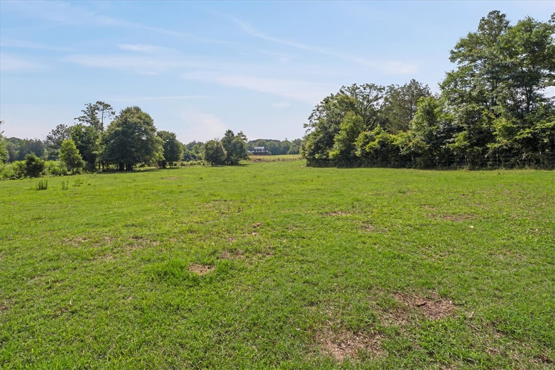 100 Princeton Highway Honea Path, SC 29654 - Photo 42 of 50 Pasture