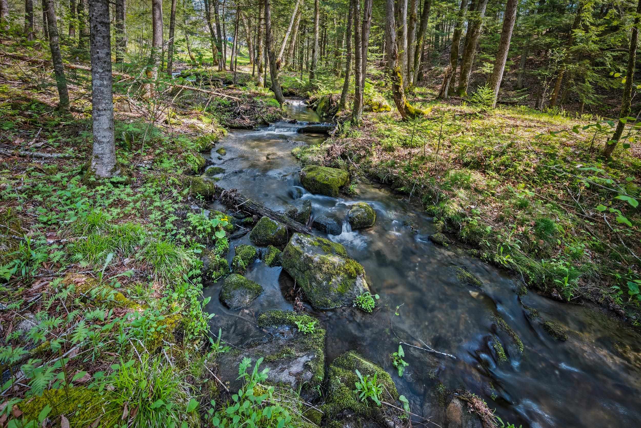 192 Mill Brook Road Landaff, NH 03585 - Photo 42 of 54