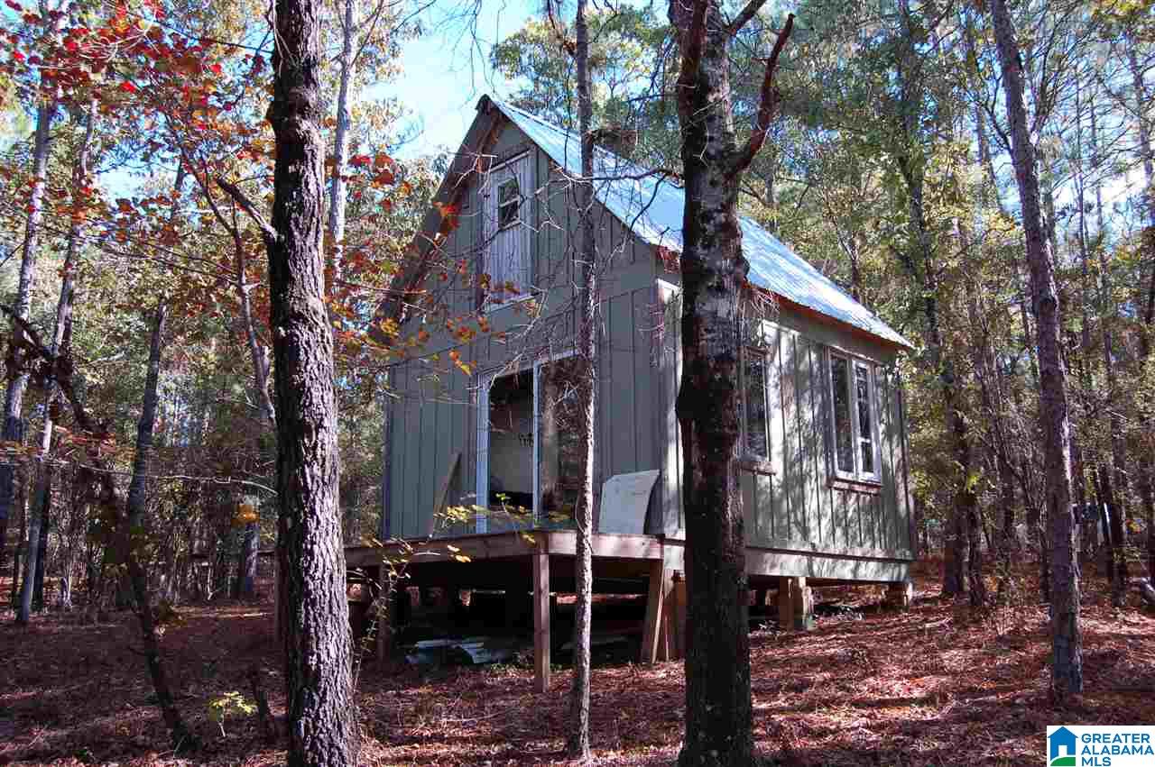 22.49-acres Double Branch Road, Unit 22 49 ACRES Marion, AL 36756 - Photo 4 of 30