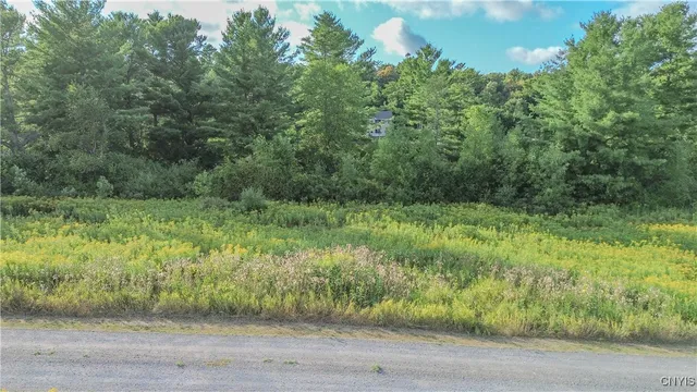 $79,900 | Beaver Meadow, Chaumont, NY 13622