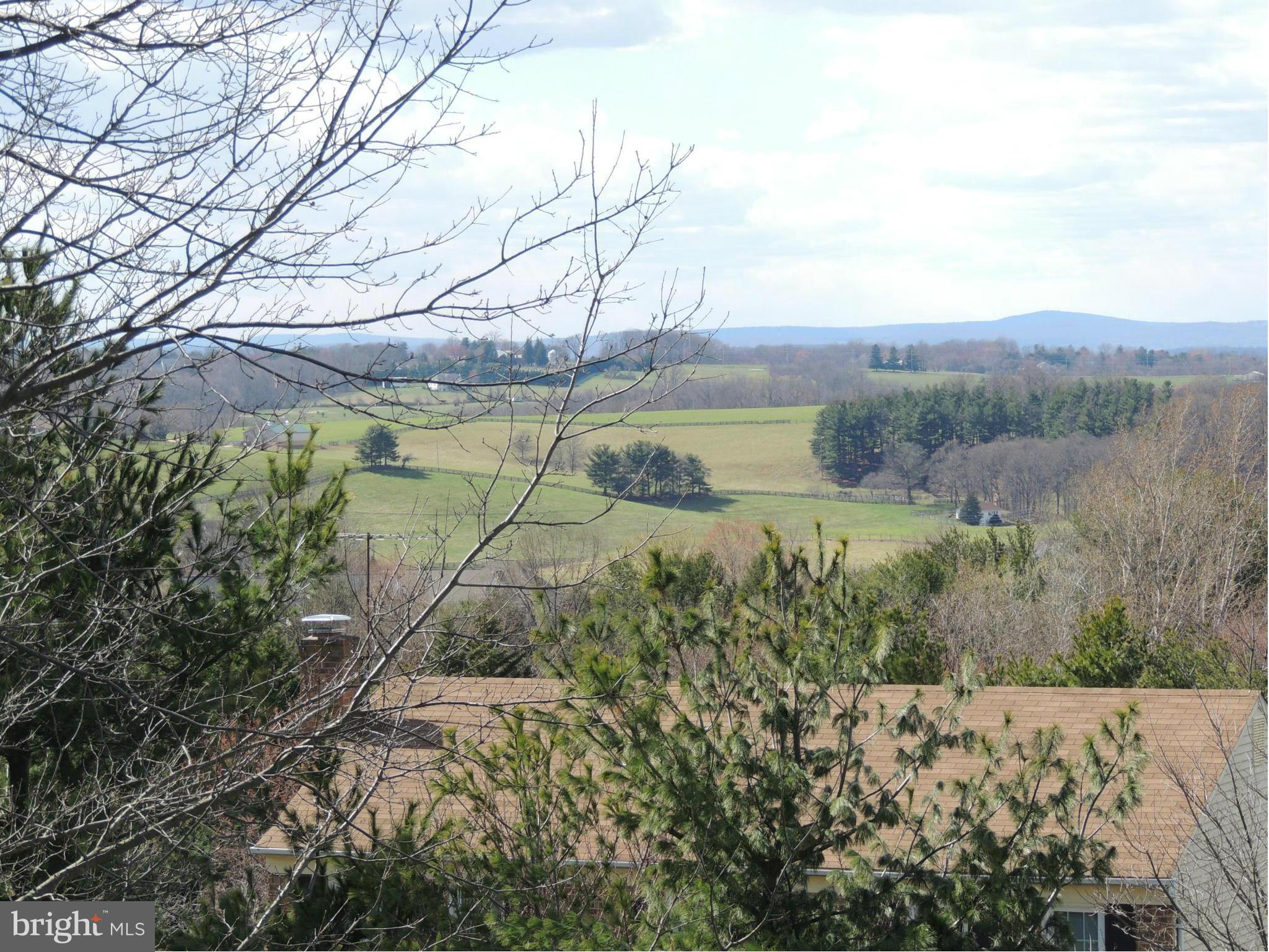 6610 Wind Ridge Road Mount Airy, MD 21771 - Photo 22 of 30 View