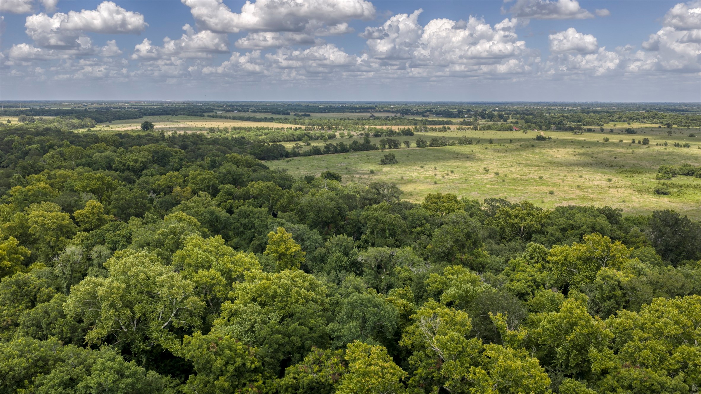 12412 Ueckert Road East Bellville, TX 77418 - Photo 15 of 35 Gallery Image 15