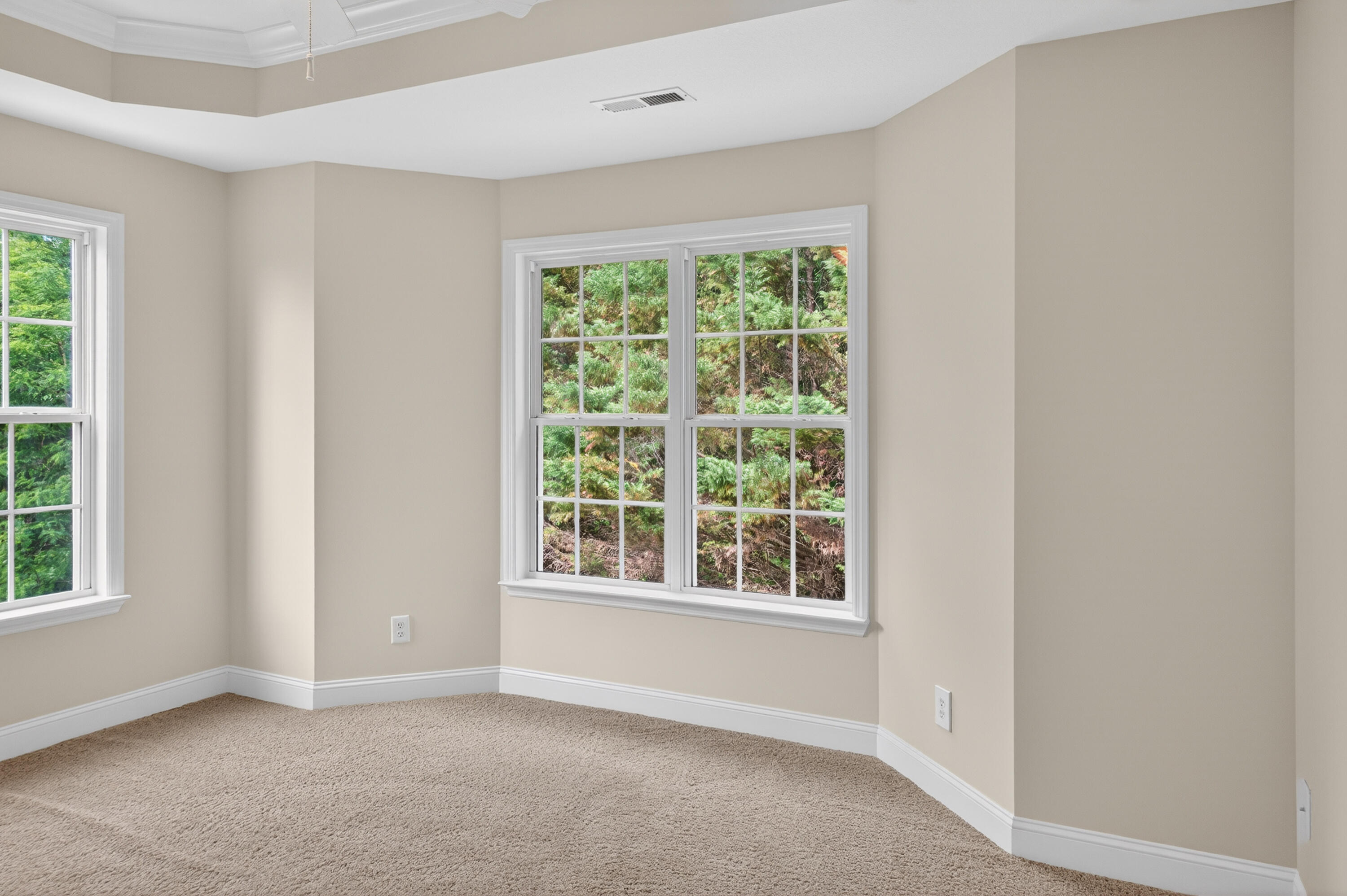 111 Will Ridge Drive Ringgold, GA 30736 - Photo 20 of 50 Plenty of natural light