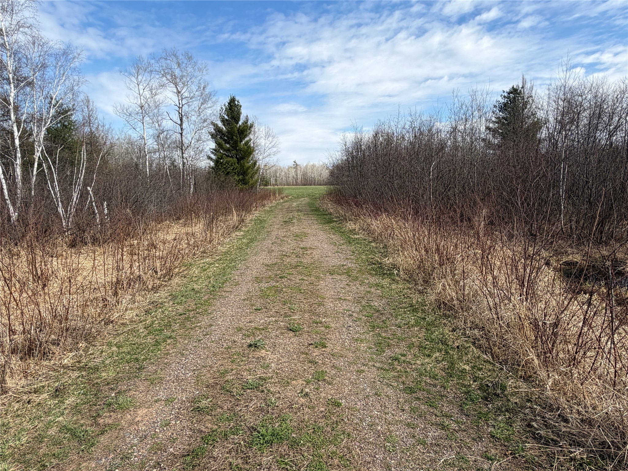 N4280 County Road East Bruce, WI 54819 - Photo 30 of 49