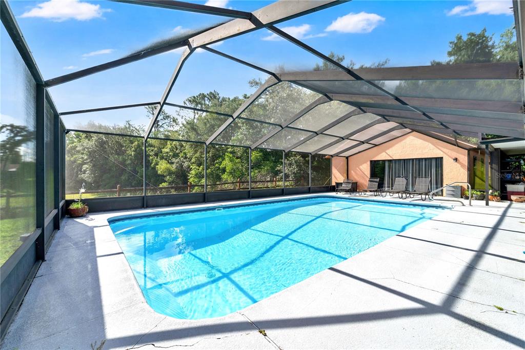 2456 Danforth Road Spring Hill, FL 34608 - Photo 43 of 54