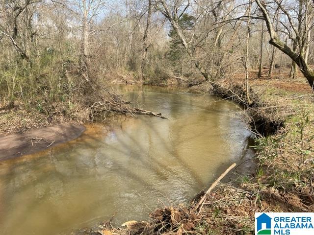 0 County Road 158, Unit 1 Lafayette, AL 36862 - Photo 4 of 19