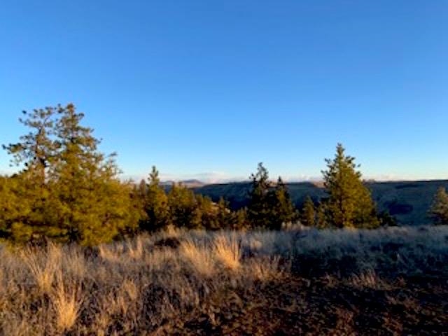 31775 Ruffed Grouse Drive Davenport, WA 99122 - Photo 2 of 24