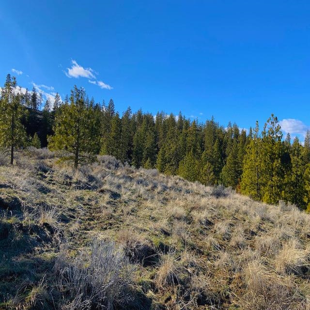 31775 Ruffed Grouse Drive Davenport, WA 99122 - Photo 3 of 24