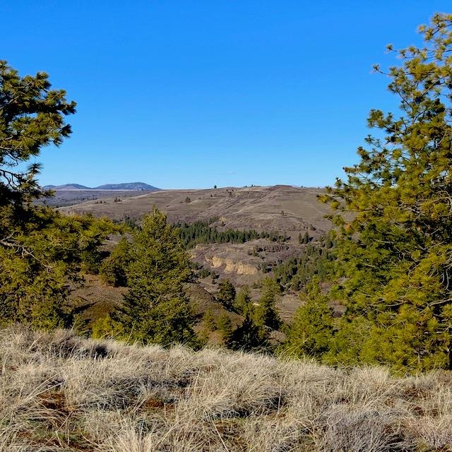 31775 Ruffed Grouse Drive Davenport, WA 99122 - Photo 4 of 24