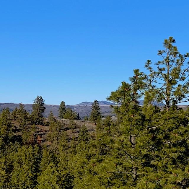 31775 Ruffed Grouse Drive Davenport, WA 99122 - Photo 7 of 24