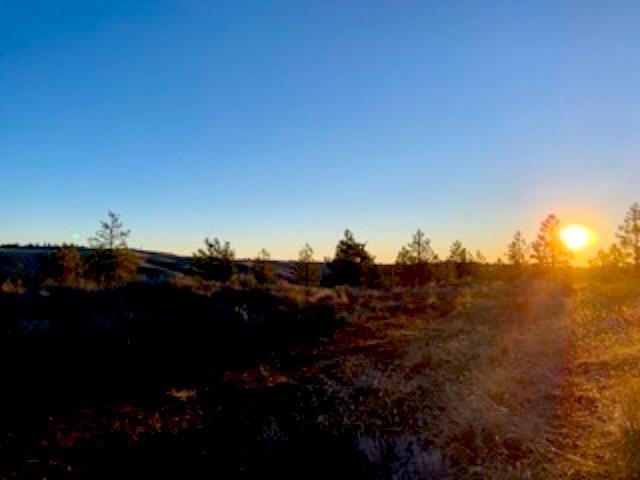 31775 Ruffed Grouse Drive Davenport, WA 99122 - Photo 8 of 24