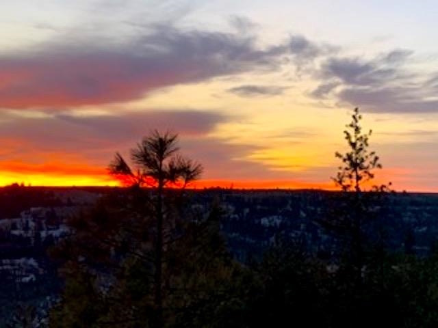 31775 Ruffed Grouse Drive Davenport, WA 99122 - Photo 9 of 24