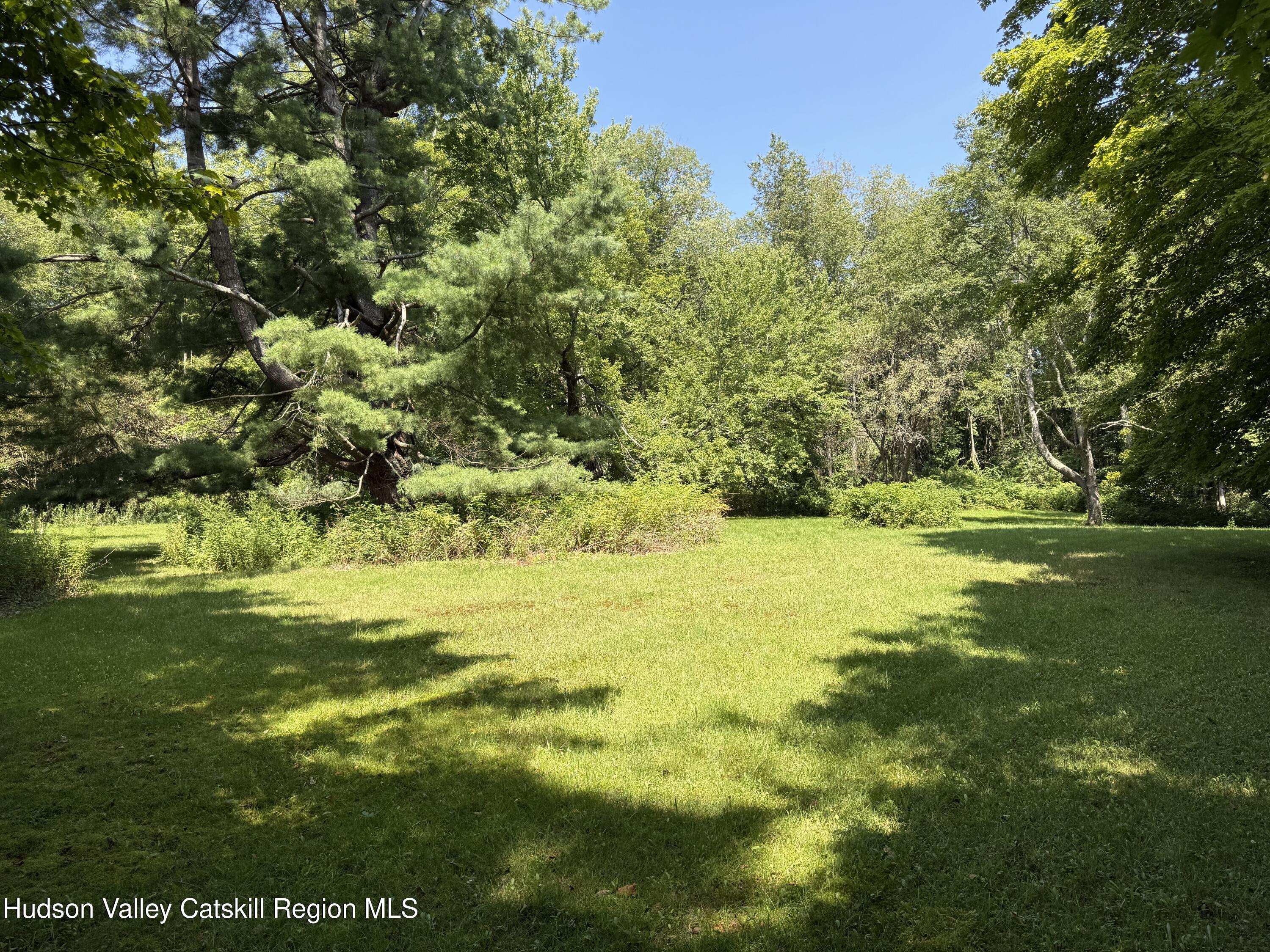 11549 Highway 22 Austerlitz, NY 12017 - Photo 28 of 28 a view of a trees with a yard