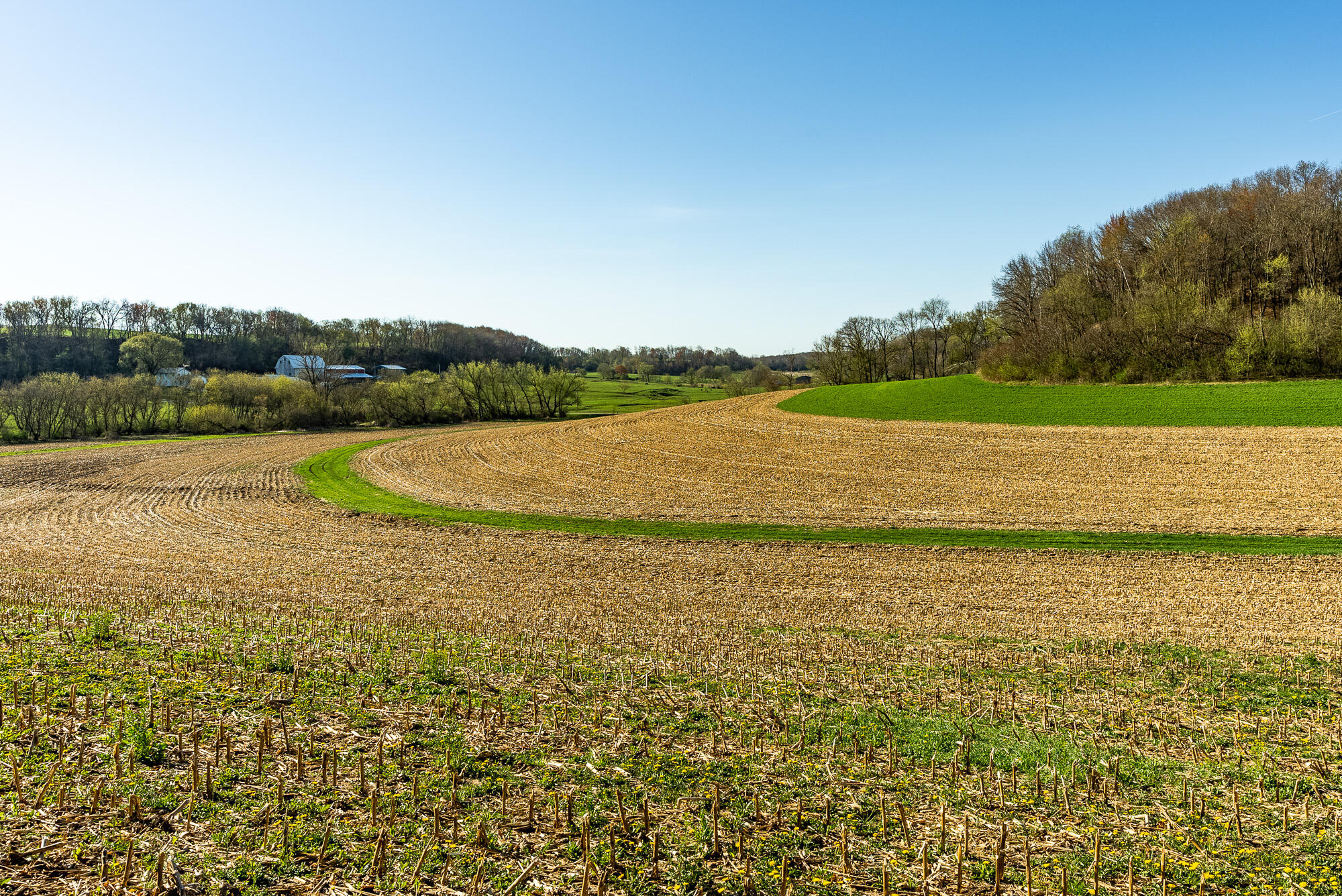 Lt3 Eli Valley Road Hillpoint, WI 53937 - Photo 10 of 15 Sauk-County-WI-28-Acres-Land-For-Sale-10