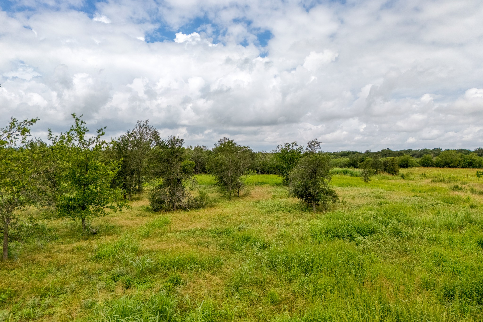 18101 Littig Road Manor, TX 78653 - Photo 30 of 35 Gallery Image 30