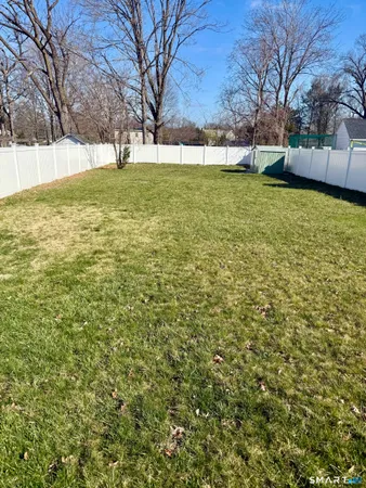 a view of a yard with a tree