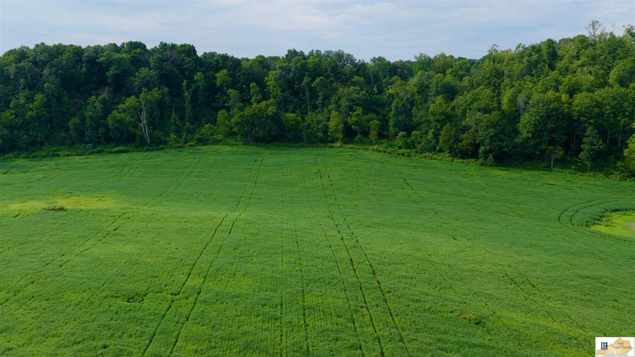200 Scott-Marcum Road Summersville, KY 42782 - Photo 6 of 70 Gallery Image 6