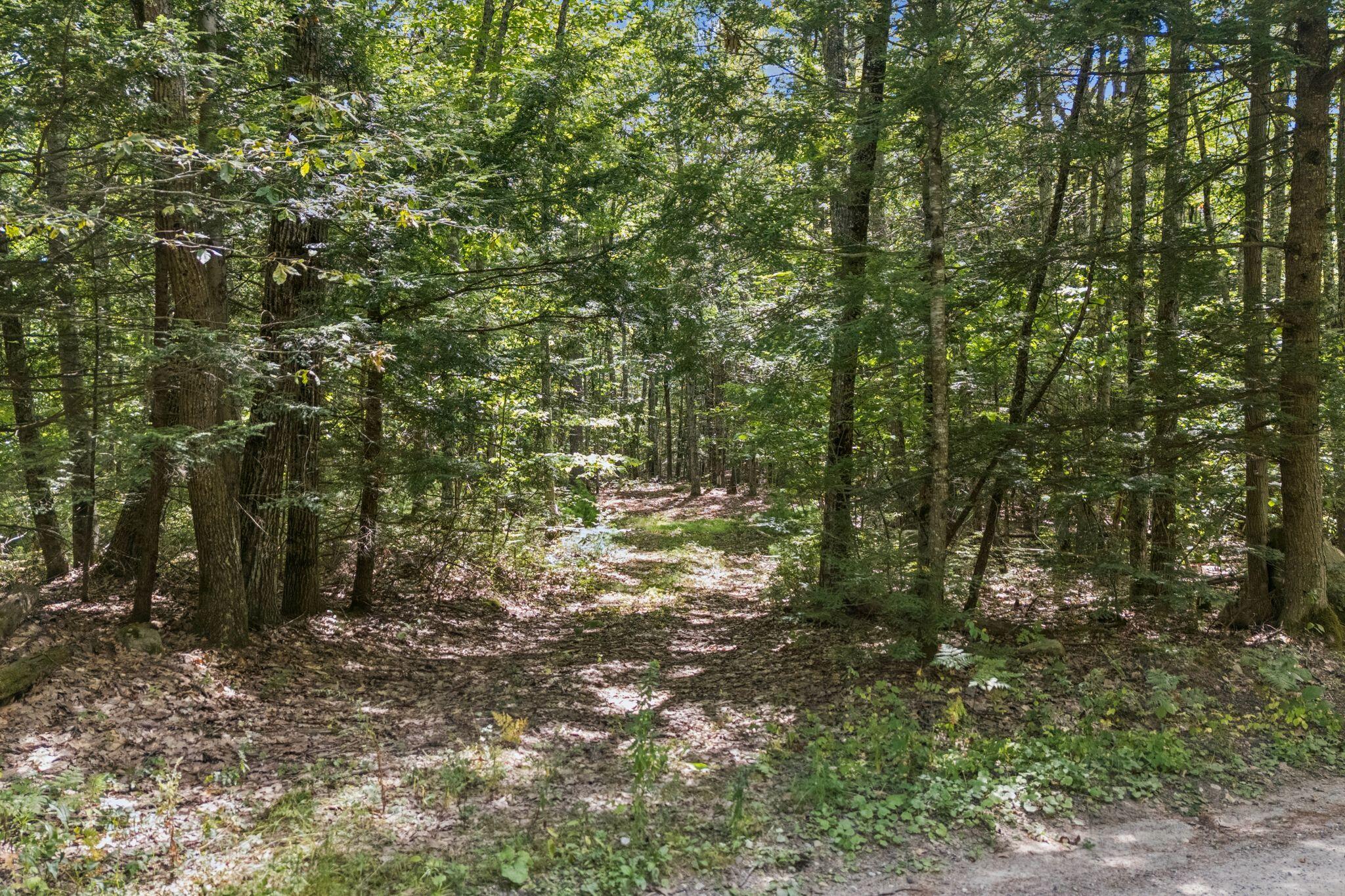 Tbd Knudsen Road Gray, ME 04039 - Photo 5 of 15 DJI_20260826022052_0202_D